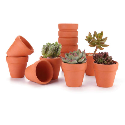 T4U 2.5 Inch Terracotta Clay Pots Pack of 12 - Mini Hand Craft Nursery Plant Pot Succulent Cactus DIY Pottery Planter Home Garden Windowsill Decoration Christmas Gift