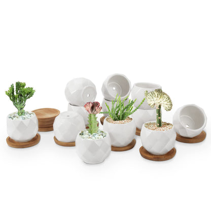 ZOUTOG Succulent Pots, White Mini 3.15 inch Ceramic Flower Planter Pot with Bamboo Tray, 2.5 inch Square Pattern Ceramic Planters, Plants Not Included