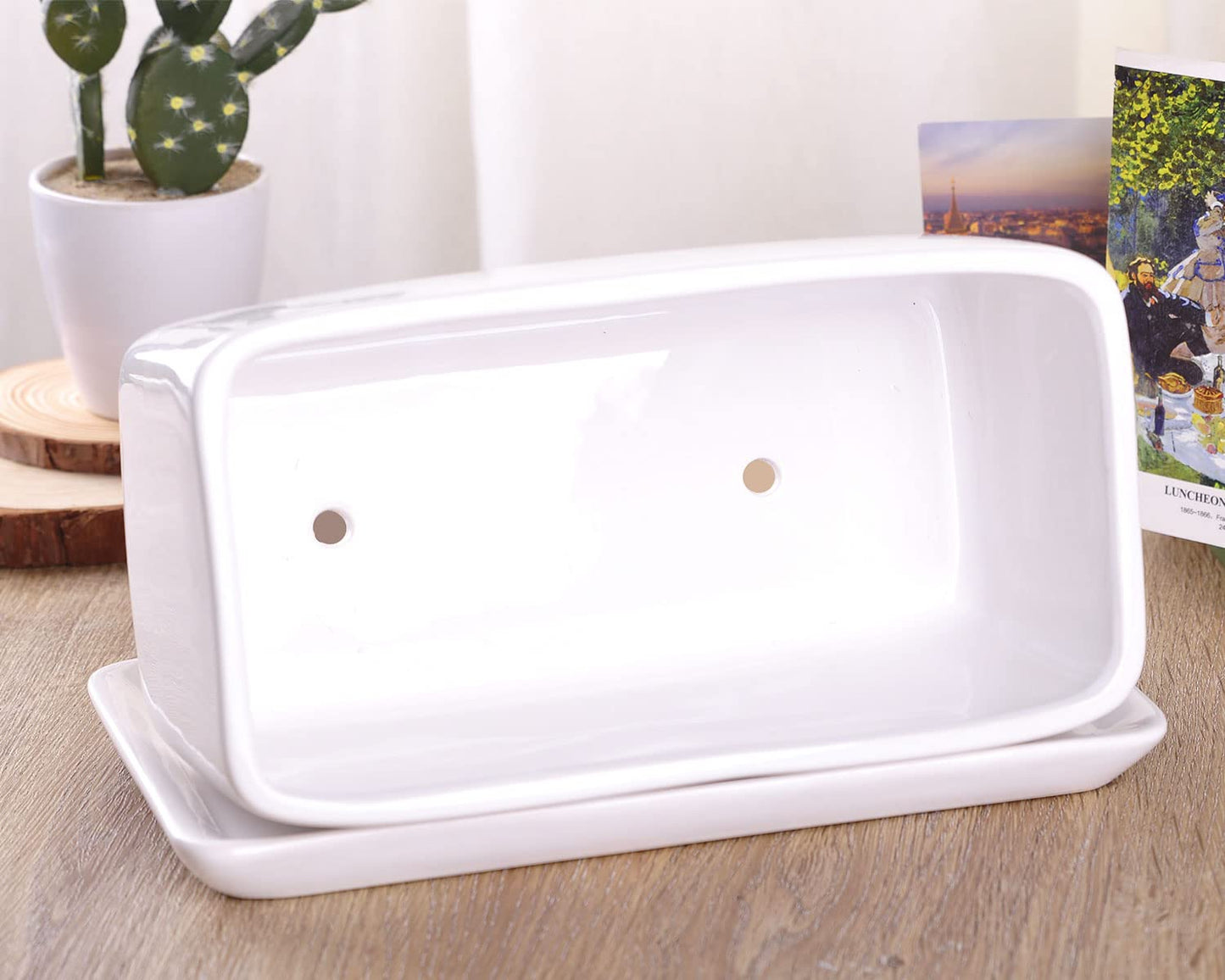 VanEnjoy 10 Inch White Rectangle Ceramic Succulent Planter Pot Decorative Cactus Plant Pot Flower Container with Ceramic Tray