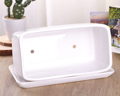 VanEnjoy 10 Inch White Rectangle Ceramic Succulent Planter Pot Decorative Cactus Plant Pot Flower Container with Ceramic Tray