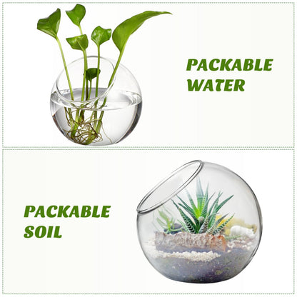 VANZACK 3pcs Round Glass Terrarium Vases Stylish Air Plant Containers for Home Office Decor Beveled Opening for Easy Plant Display for DIY Projects and Centerpieces