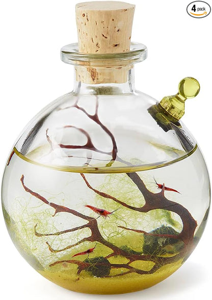 Shrimp Bubble Self-Sustaining Ecosystem