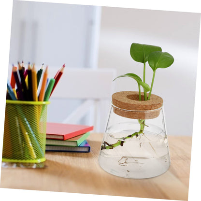 OUNONA 2Pcs Desktop Glass Hydroponic Chic Transparent Vases for Home Decor Stylish Terrarium for Indoor Plants for Office Garden Aesthetics