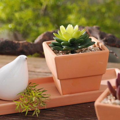 GANAZONO 5pcs Small Terracotta Pots Square Clay Pots Ceramic Flower with Drainage Holes Cactus Nursery Planter Succulent Terracotta Plant for Outdoor Indoor