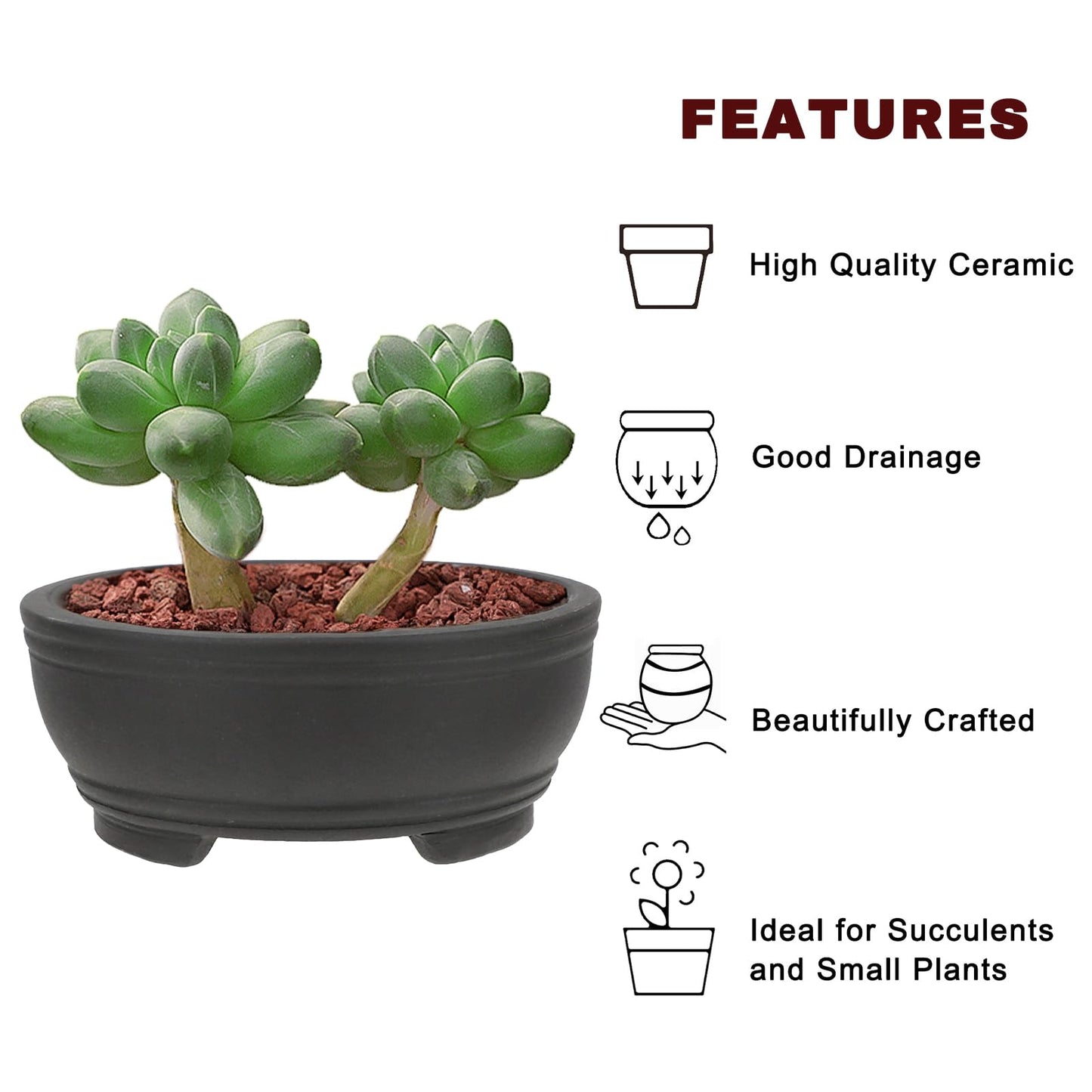 Bonsai Planter 2 pc 3.9" + 4.1" Unglazed Round Ceramic Succulent Pots Set