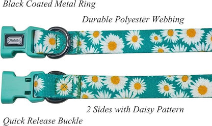 Dog Collar and Leash Set, Cute Daisy Pattern, Polyester Material, 5ft Leash, for Small Dogs.(Small,Green Daisy)