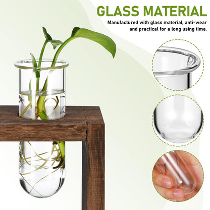 POPETPOP Plant Propagation Tubes 4pcs Glass Test Tube Vase Replacement Clear Hydroponic Flowers Vase for Home Office Desktop Decoration