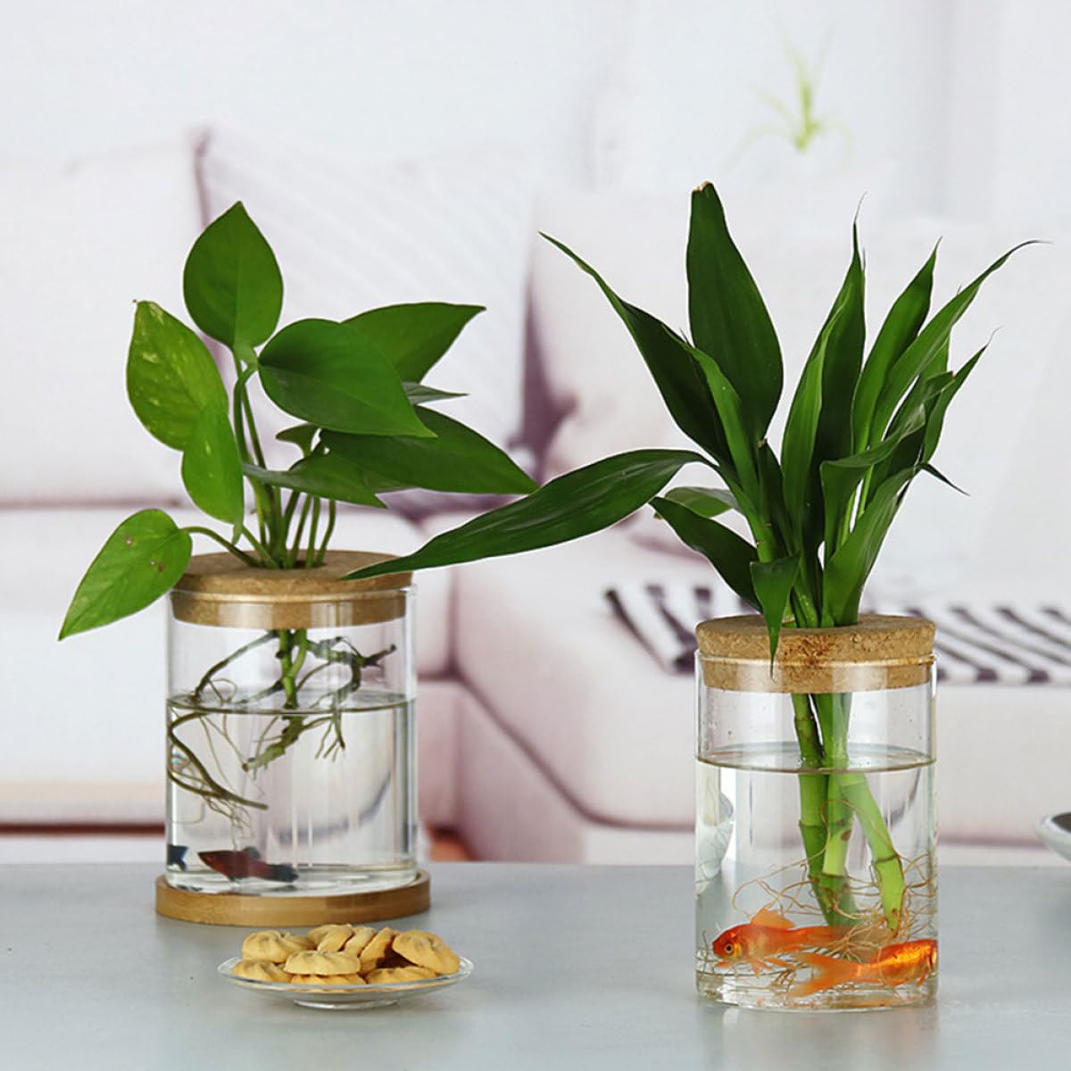 FOMIYES 2pcs Glass Flower Bottle Vase for Hydroponics with Cork Stopper, 6.5cm X 10cm Glass Home Decor Planter for Indoor Plants and Moss Terrarium