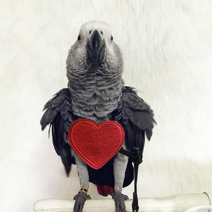Adjustable Birds Harness and Leash Parrot Harness Leash Training Supplies Pet Anti-bite Outdoor Flying Rope for Conures Budgerigar Lovebird Cockatiel Mynah (M)