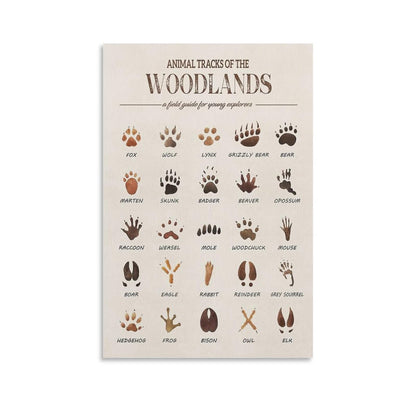 MAIHAIBAO Woodland Animal Tracks Canvas Wall Art - Educational Forest Field Guide Poster - Rustic Nature Nursery & Kids Room Decor - 12x18 Inch (Unframed)
