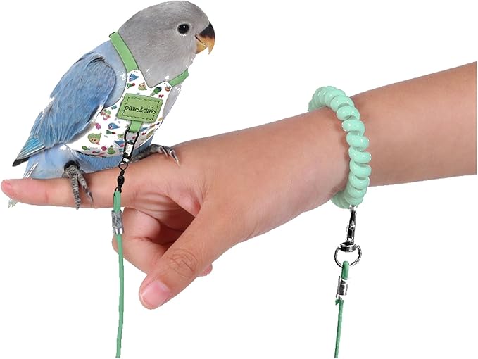 Bird Harness Leash Set Adjustable Vest Anti-Lost Wrist Strap for Parakeet Cockatiel Conure Lovebird (Green, Budgie 4 * 8cm / 4g)