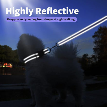 IVY&LANE Reflective Dog Collar and Leash Set,Adjustable Neoprene Padded Dog Collars for Puppy, Breathable Nylon Pet Collar for Small Medium Large Dogs (Medium,Purple)