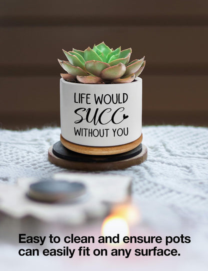 Cgvovgr Funny Life Would SUCC Without You Ceramic Succulent Planter Cactus Pots, Office Windowsill Decor Indoor, Succulent Pots for Women Plant Lovers, 3.5 inch (Plant Not Included)