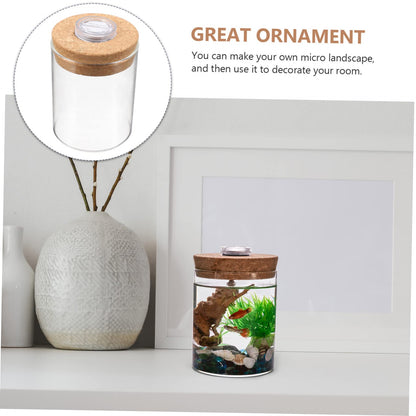 Ciieeo Cylinder High Borosilicate Glass Moss Plant Bottle Creative DIY Microlandscape Terrarium Holder for Indoor Decoration Mini Fish Tank