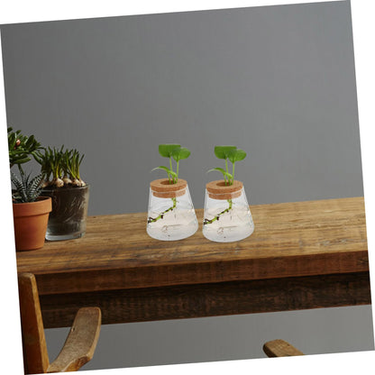 ETHZZLE 2Pcs Desktop Hydroponics Glass Planter Vase for Indoor Plants Chic Terrarium Containers for Home Office Decoration Floral Arrangement and Gift Ideas