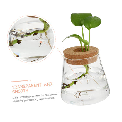 VALICLUD 2Pcs Glass Hydroponic Planter Vases Elegant Desktop Terrarium for Home Decoration Floral Arrangements for Indoor Plants and