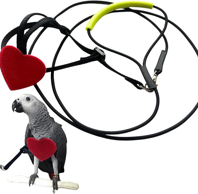 Adjustable Birds Harness and Leash Parrot Harness Leash Training Supplies Pet Anti-bite Outdoor Flying Rope for Conures Budgerigar Lovebird Cockatiel Mynah (S)