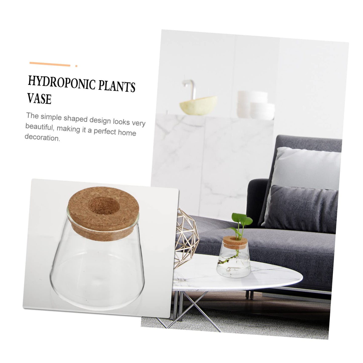 EPIGEIST 2Pcs Hydroponics Vase Planter Chic Desktop Glass Terrarium for Home Office Decor Plant Holder for Observation Growth Design