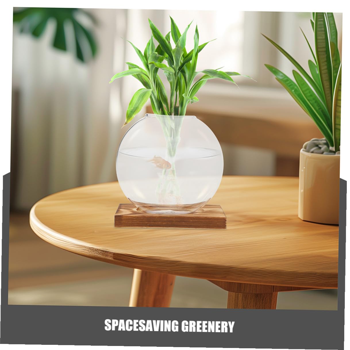 BESPORTBLE 2pcs Glass Vases with Wooden Stand, Hydroponic Propagation Station for Indoor Plants, Decorative Terrarium Pot for Home and Office Gardening