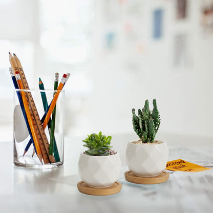 ZOUTOG Succulent Pots, White Mini 3.15 inch Ceramic Flower Planter Pot with Bamboo Tray, 2.5 inch Square Pattern Ceramic Planters, Plants Not Included