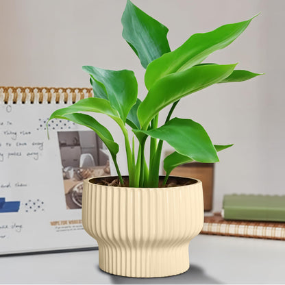 OXART Ceramic Pots for Plants, 7.7 Inch Round Plant Pot with Drainage Hole, Modern Outdoor Flower Pots Home Garden Decorative Planters for House Plants Indoor Planters (Yellow)
