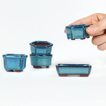 Bonsai Planter Succulent 1.8"(4.5cm) 10 Mini Glazed Pots