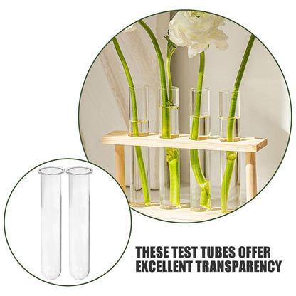 Uonlytech 4pcs Glass Plant Propagation Test Tubes Vases Hydroponic Flower Holder 2.5x3x18cm Glass Tubes for Desktop Terrarium and Plant Rooting