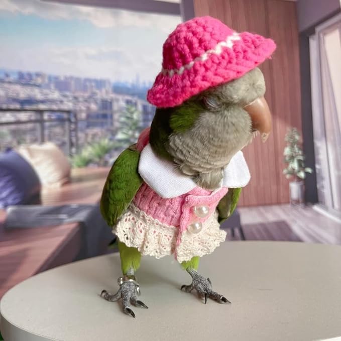 Bird Diaper Flight Suit - Pink Top Cosplay Photo Prop for Parrots, Lovebirds, Parakeets & Cockatiels (Lovebird Size)