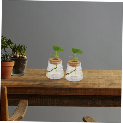 Garneck 2Pcs Hydroponic Plant Vases Clear Glass Terrarium Garden Decoration for Home Office Floral Arrangement and Nature Lovers Gift