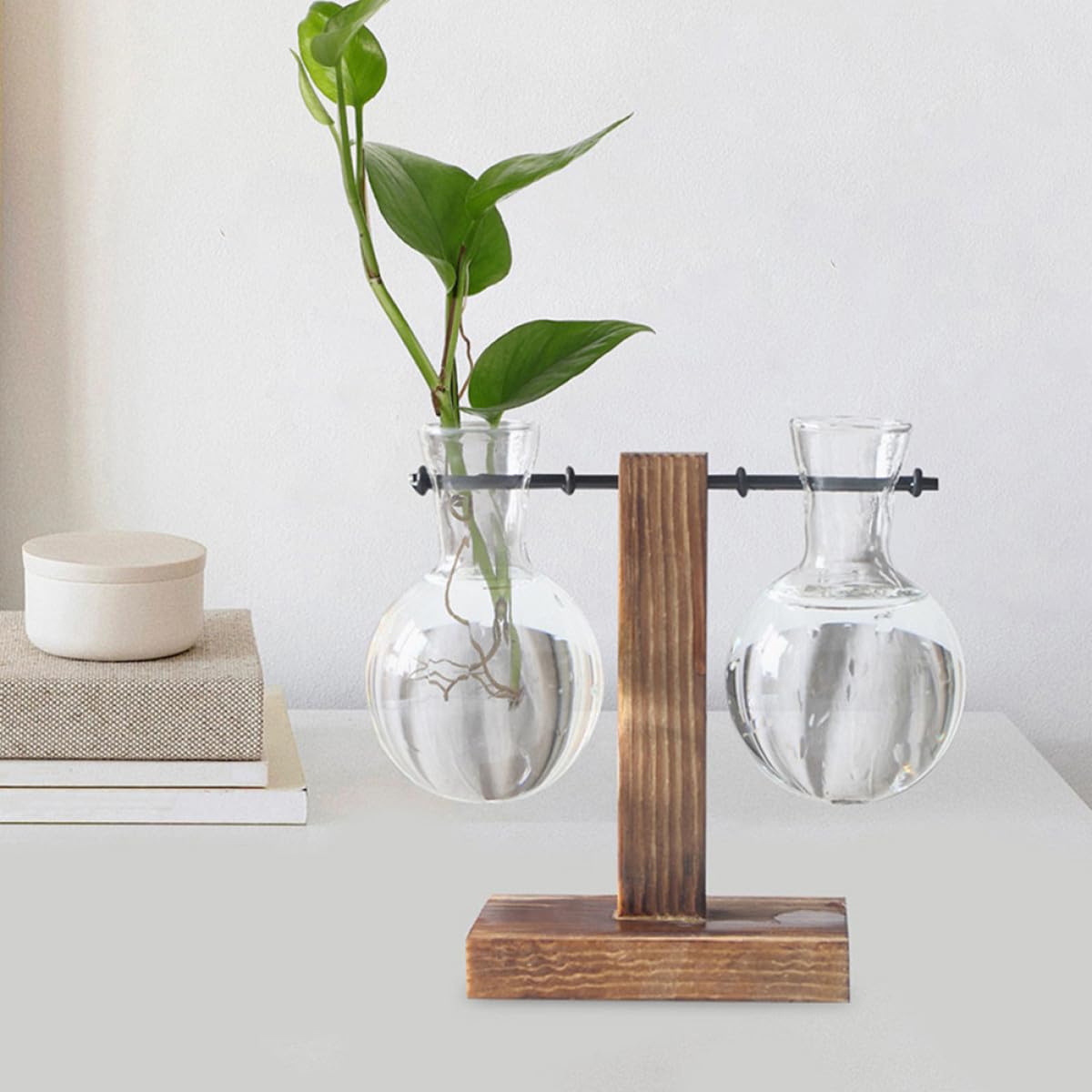 VICASKY 3pcs Hydroponic Glass Vase with Wood Stand, High Borosilicate Propagation Station for Indoor Plants and Flower Terrariums, Glass Plant Holder for Home Décor