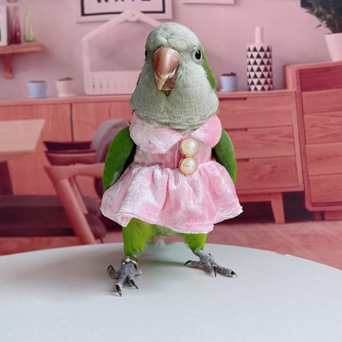 Bird Costume Bird Diaper Flight Suit Parrot Velvet Fleece Skirt Clothes Cosplay Photo Prop for Conure Lovebird Parakeet Cockatiel Macaw Small Animals Apparel (Pink,XX-Large)