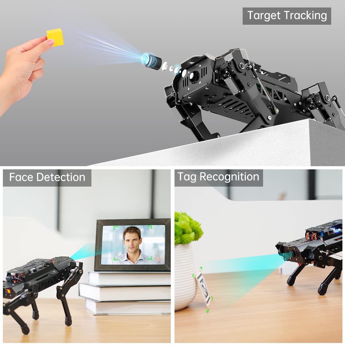 PuppyPi Robot Dog with ChatGPT Large AI Models AI Embodied Intelligence ROS Robotic Dog Vision Scene Voice Understanding SLAM Mapping Navigation Bionic Quadruped Robot, Standard Kit & RaspberryPi5 8GB