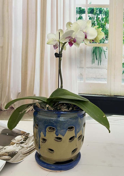 Fowargif Large 6inch Ceramic Orchid pots with Holes, Flower Pot with Saucer for Indoor Plants Home Decorative, Round Planter (Blue+Light Brown)