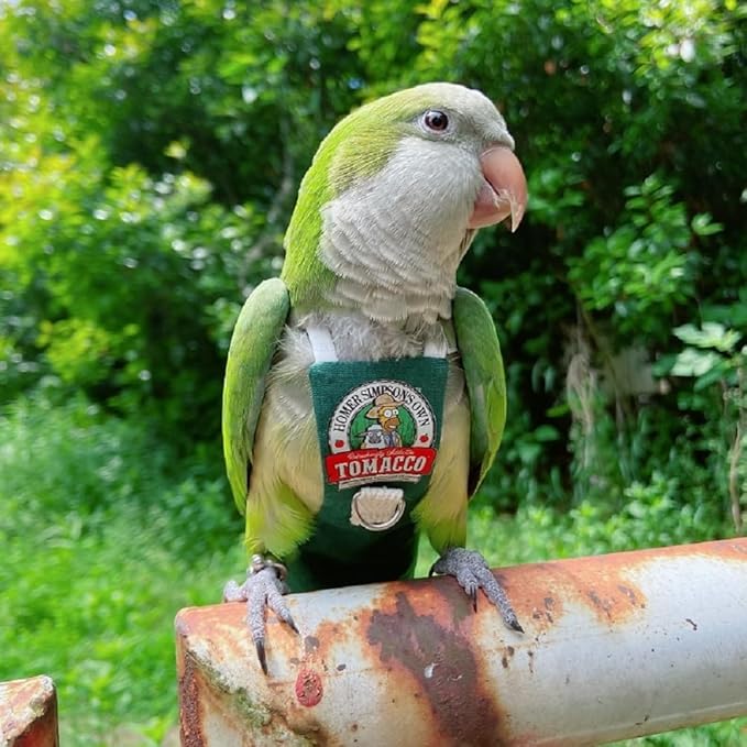 Bird Clothes Parrot diapers bird flight suits, reusable waterproof diapers pet bird supplies (3XL)
