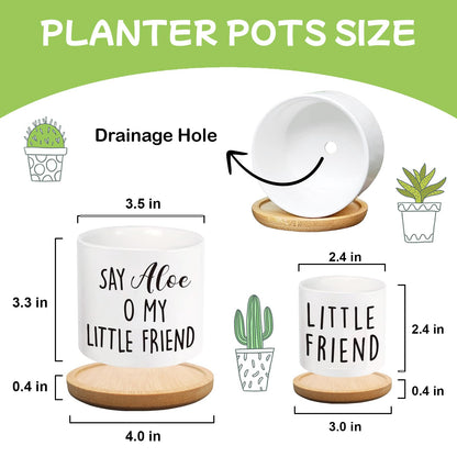 Msyueos Say Aloe to My Little Friend Planter Pot, Funny Plant Pots, Aloe Plant Pot Succulent Pots with Tray Set of 2 Flower Pots Indoor Pot - Without Plants, Office Home Windowsill Gifts (No Plant)