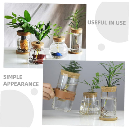 MAGICLULU Glass Hydroponic Vase Set for Succulents and Green Plants, Glass Flower Arrangement Container with Mat, 6.5x12cm, 2pcs Home Décor Terrarium Planter