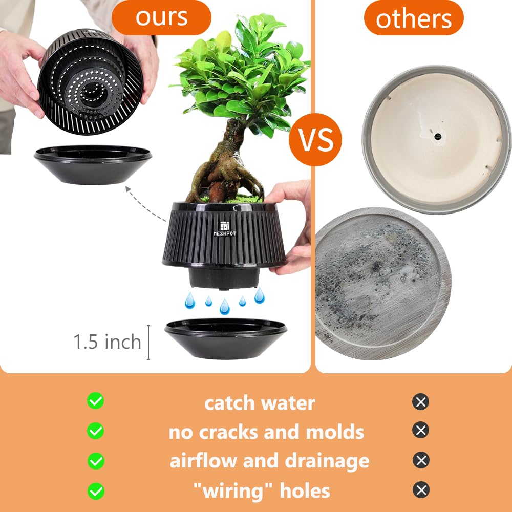 Meshpot 5 Inch Bonsai Pots with Drainage Tray, Set of 2, Plastic Imitate Ceramic Bonsai Tree Pot with Excellent Airflow, Black Succulent Pots for Indoor Plants, Juniper, Ficus, Chinese Elm, Cactus
