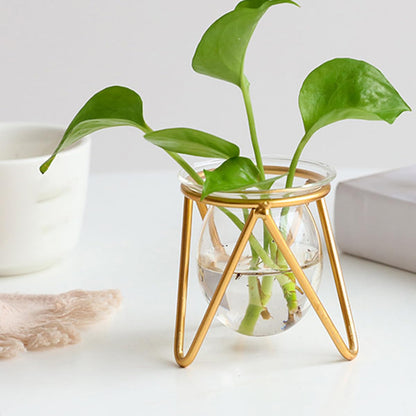 Toyvian Glass Plant Vase with Metal Stand, Decorative Bulb Terrarium Container for Succulents and Green Plants, Small Gold Indoor Hydroponic Planter for Home and Office Desk Decor
