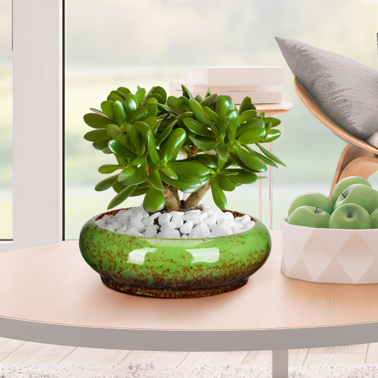Happyyami Succulent Planter Pot 7.08In Round Shallow Bonsai Bowl with Drainage Hole for Desktop Cactus and Small Plants Decorative Container
