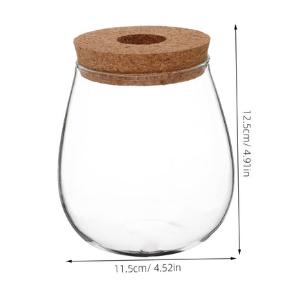POPETPOP Modern Hydroponic Glass Vase Compact Desktop Planter for Terrariums Flower Holder for Aesthetic Home Decoration for Observing Plant Growth