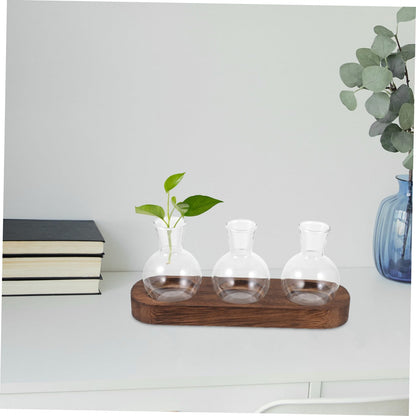 FONDOTIN Hydroponic Glass Vase with Wooden Base for Home and Office Decoration Plant Arrangement Container Stylish Desktop Terrarium for Greenery