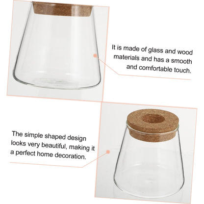 MAGICLULU 2Pcs Glass Terrarium for Hydroponics Plants Desktop Vases with Smooth Glass Craftsmanship Stylish Plant Propagation Jars for Home Office Decoration