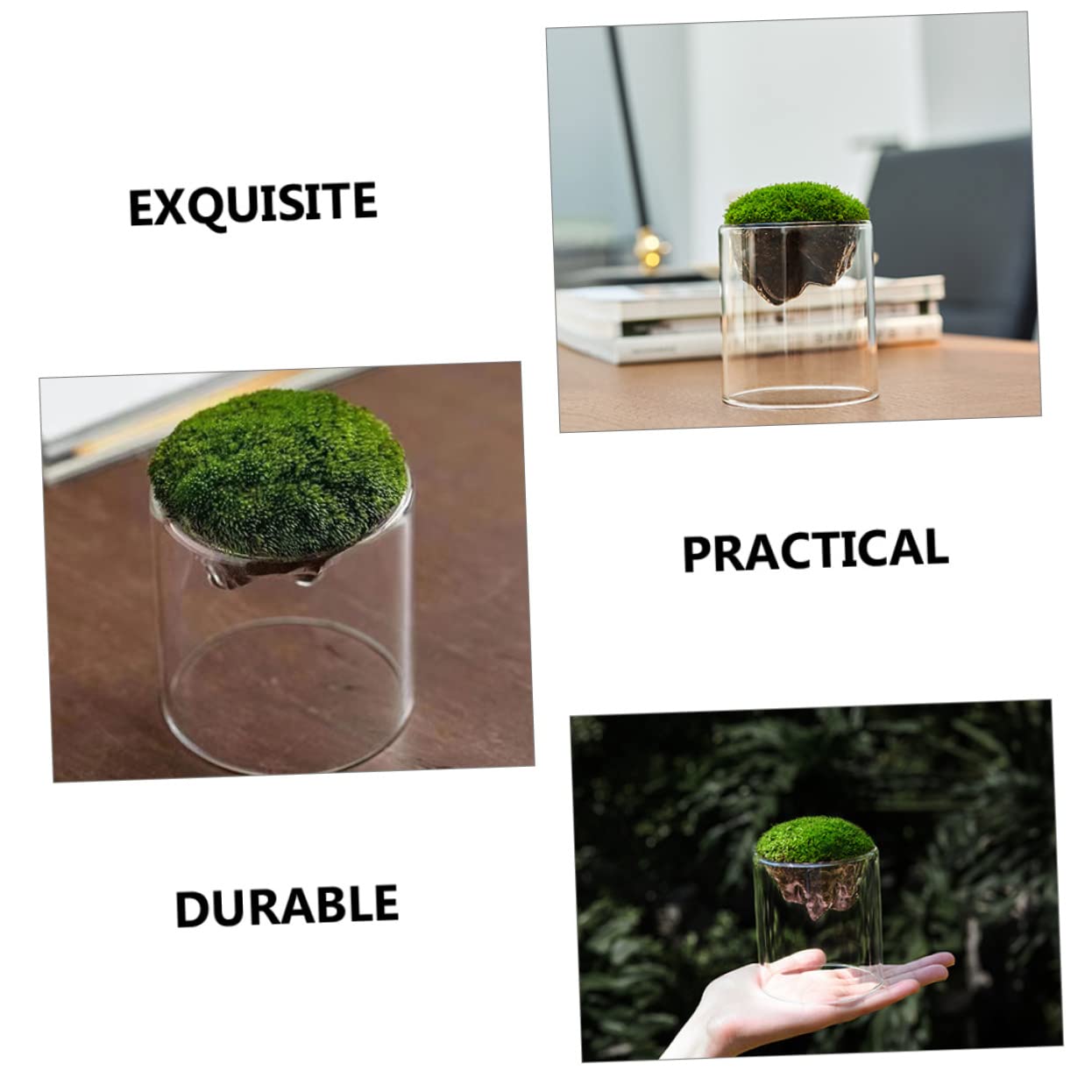 Parliky Terrarium Jars Set DIY Landscape Glass Bottle Moss Home Decor Plant Container