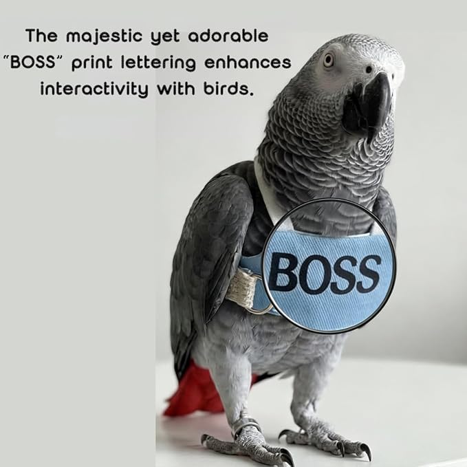 2 Pack Bird Flight Suit Vest, Adjustable Parrot Harness Clothes with Cute Design, Anti-Bite Outdoor Training Outfit for Parakeet, Cockatiel, Conure, Quaker, Budgie (2M,with Leash)