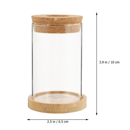 Angoily 2pcs Glass Hydroponic Planter Vase with Stand, 6.5x10cm Desktop Terrarium for Home Garden Decoration and Office Plant Display