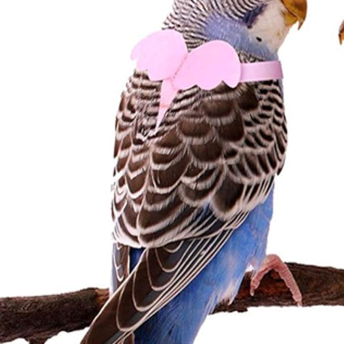 Pet Parrot Bird Harness and Leash, Adjustable Training Design Anti-Bite, Bird Nylon Rope with Cute Wing for Parrots, Suitable for Macaw Cockatoo Cockatiel Lovebird Conure African Grey (Green,S)