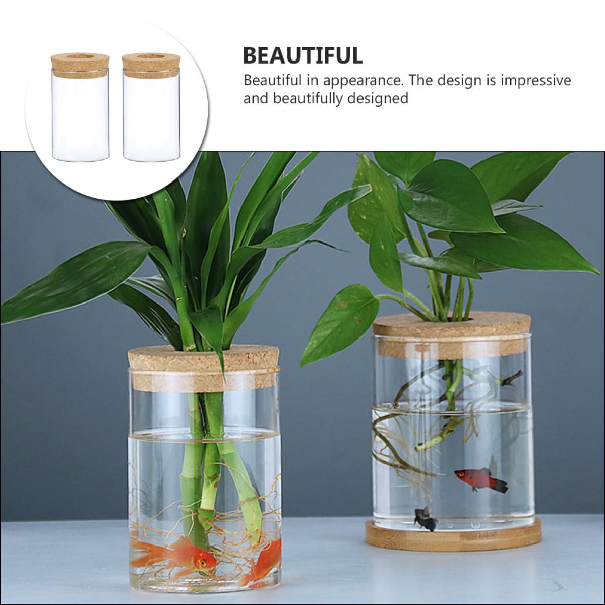SOLUSTRE 2pcs Glass Flower Vases Hydroponic Plant Pots with Perforated Cork Stoppers 6.5cm X 10cm Indoor Home Decor Moss Terrarium Bottles for Succulent Arrangement
