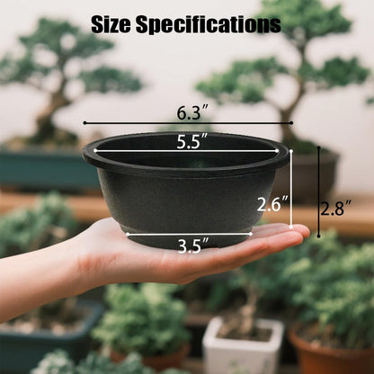 MUZHI 12PACK Matte Black Succulent Bonsai Round Planter Bowl Pot with Drainage, Plastic Cactus Flat Garden Plant Bowl Pots 6.3”