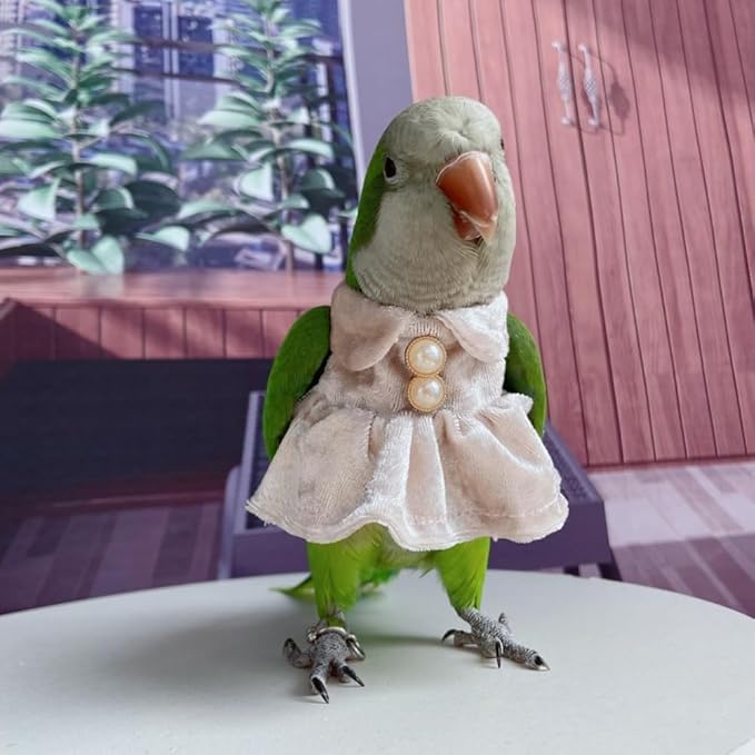Bird Costume Bird Diaper Flight Suit Parrot Velvet Fleece Skirt Clothes Cosplay Photo Prop for Conure Lovebird Parakeet Cockatiel Macaw Small Animals Apparel (White,Medium)