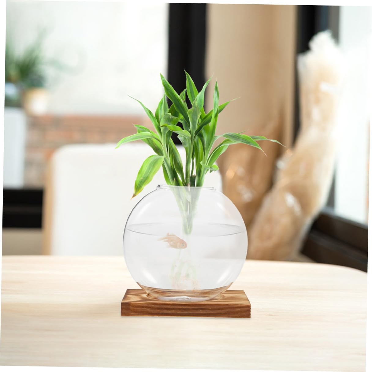 Wakauto 2pcs Hydroponic Glass Propagation Vases with Wooden Base, Plant Terrarium Containers for Indoor Water Plants, Desktop Flower Vase Set for Home and Office Décor